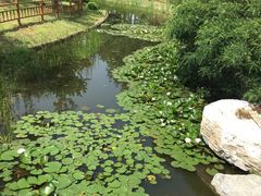 -燕郊植物园