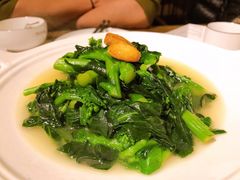 安徽菜苔-徽镇小厨·经典徽菜(马连道店)