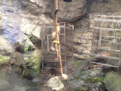 iphone_upload_pic-东部华侨城