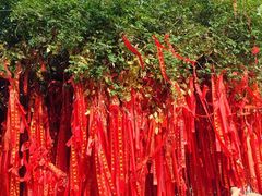 -中国翰园碑林