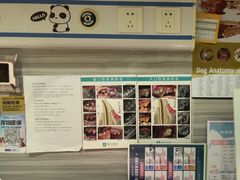 -瑞派名望志远动物医院·猫科·內科·异宠专科(直港大道店)
