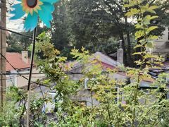 -杰克·肯特厨房西餐厅
