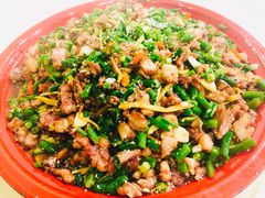 -东吴霸王兔(松青路店)