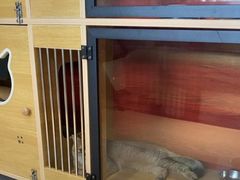 -御宝贝·A梦猫科宠物医院(国际猫友好医院)