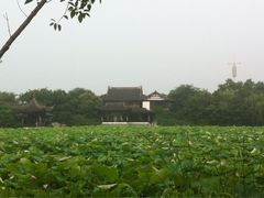 iphone_upload_pic-蠡湖大桥公园