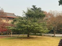 -浙江省博物馆(孤山馆区)