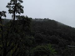 -楠柏弯休闲山庄(梨花溪店)