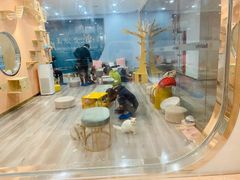 -BABIT巴比特宠物(MOMOPARK店)