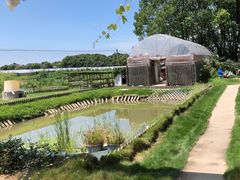 -美家乐农庄·露营·团建(大治路店)