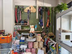 -唐小姐の私宠·宠物洗护美容·撸猫馆·购宠(周浦万达旗舰店)