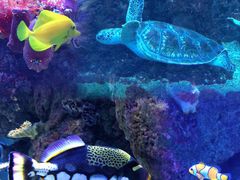 -成都浩海立方海洋公园