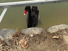 -春晖园度假酒店温泉