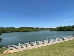 -佛手湖郊野公园