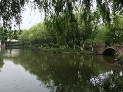 -瀛洲公园