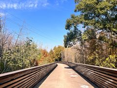 -昆山城市生态森林公园