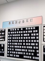 -AI艾耳·专业手工耳洞·穿孔美学馆
