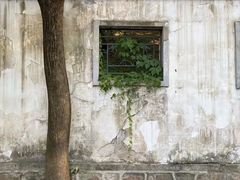 -香山公园