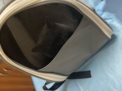 -创凡宠物医院·骨专科  猫科中心(西乡分院)