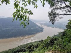 -铁山坪森林公园