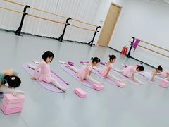 -中央芭蕾舞团·中芭艺蕾(酒仙桥明星校区)