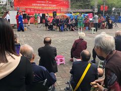 -洛阳市牡丹公园