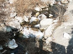 -卧龙中华大熊猫苑神树坪基地