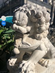 -欧扬医疗美容