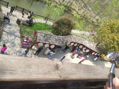 -合肥滨湖国家森林公园