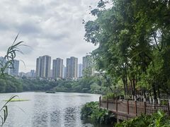 -重庆彩云湖湿地公园
