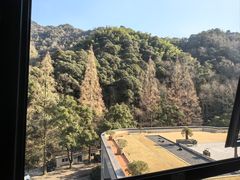 -天明山温泉大酒店