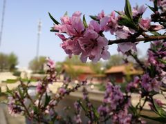 -元大都城垣遗址公园