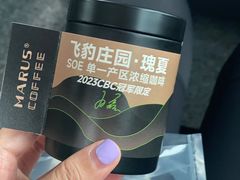 -麻雀咖啡SPARROW COFFEE(十全街店)