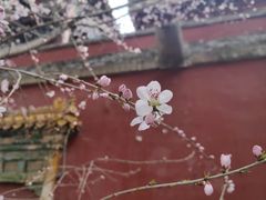 -须弥福寿之庙