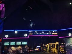 -枫花园汽车电影院(朝阳公园店)