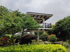 -玉树公园