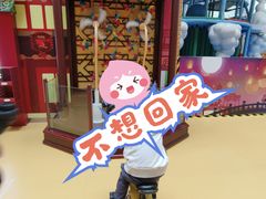 -中国宋庆龄青少年科技文化交流中心