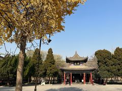 -西安碑林博物馆