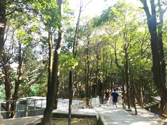 -阳台山森林公园