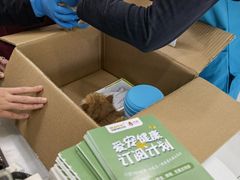 -纳吉亚猫专科动物医院博雅分院
