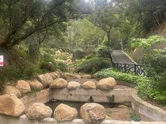 -梧桐山风景名胜区