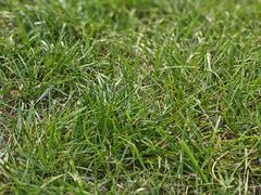 -北京金海湖景区