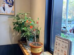 -Mammamia意大利餐厅(古北店)