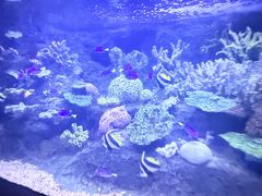 -左海海底世界