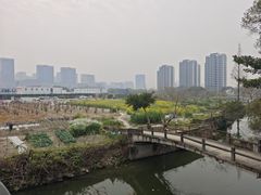 -温州南站