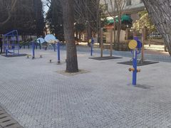 -团结湖公园