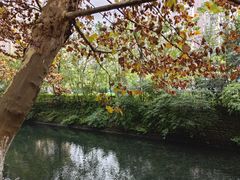 -杨柳河(地铁站)