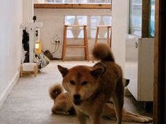 -三目仓咖啡(贤南路店)