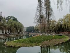 -温江公园
