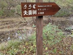 -大青沟风景区