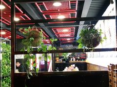 大堂-管氏翅吧(中关村店)